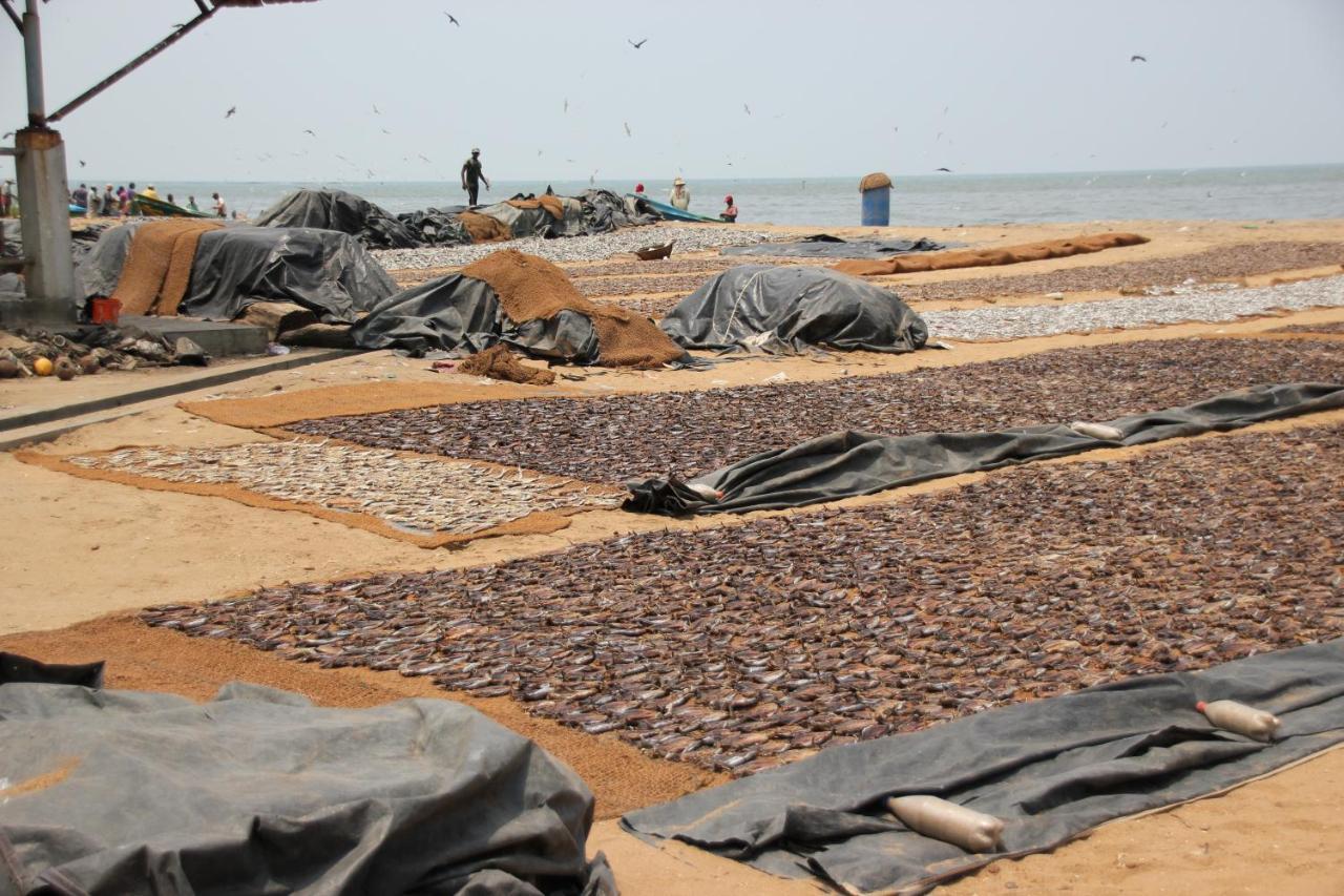 Oyo 317 Choy'S Waterfront Residence Negombo Esterno foto
